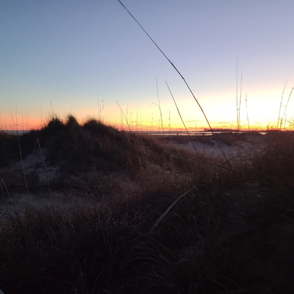 Heart Mesh Applique Detail Slips - Picture 3 of 4